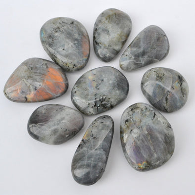 Grey labradorite palms with rainbow colours. very flashy