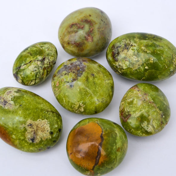 Green Opal Palm stone, Green Opal