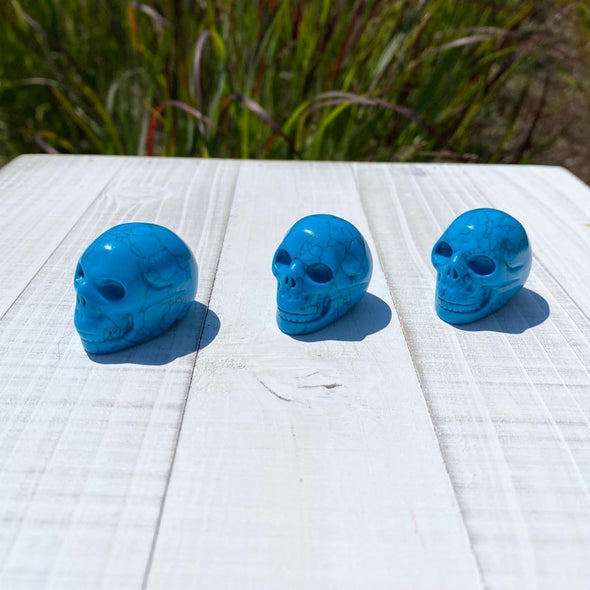 Turquoise Howlite Crystal Skull