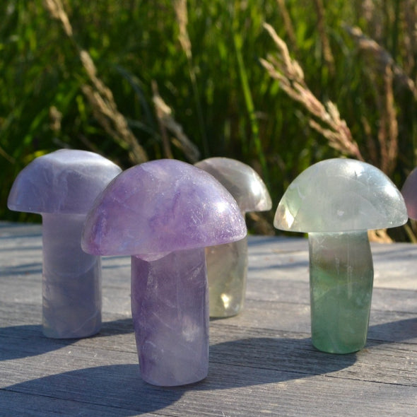 Rainbow Fluorite Mushrooms