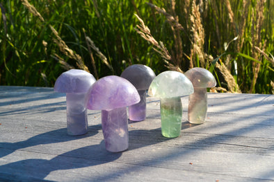 Rainbow Fluorite Mushrooms . Purple and green colours.